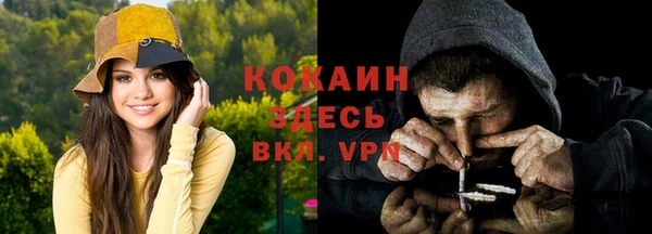 эйфоретик Липки