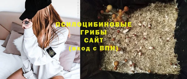 эйфоретик Липки