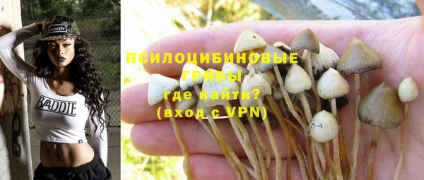 эйфоретик Липки