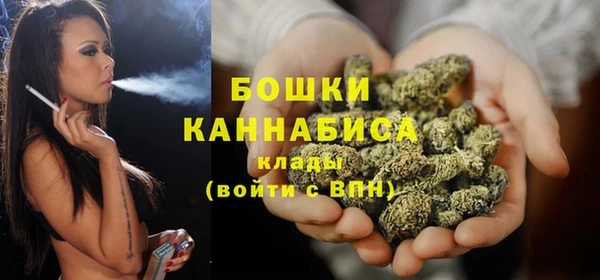 эйфоретик Липки