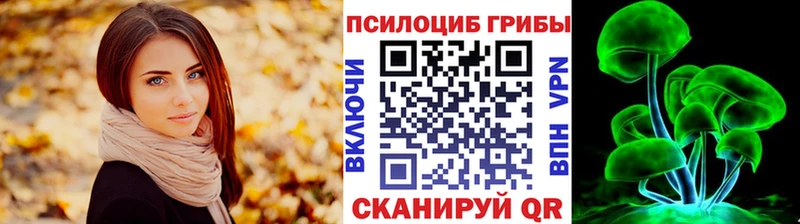 Купить где  Байкальск  Галлюциногенные грибы Psilocybine cubensis 